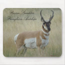 Suche nach bock mousepads Antilope