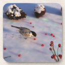 Recherche de houx dessous de verres Neige