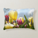Recherche de rose de tulipe photographie Fleurs de printemps