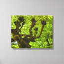 Recherche de cascade impressions sur toile Mousse
