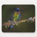 Recherche de anna tapis souris Oiseau