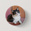 Recherche de amoureux des chats badges Modèle
