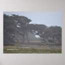 Suche nach monterey poster Küste