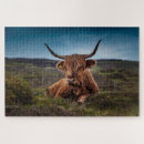 Suche nach braune kuh puzzle Stier