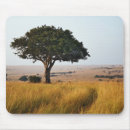 Suche nach akazienbaum mousepads Kenia