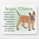 Recherche de belge tapis souris Chiot