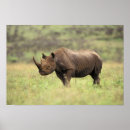 Suche nach nairobi poster Natur