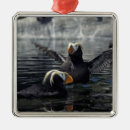 Recherche de macareux ornements Animal