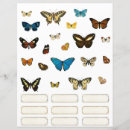 Recherche de spécimen Papillon