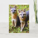 Suche nach fuchs karten Tiere