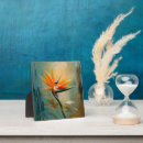 Recherche de jungle plaques Floral