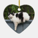 Suche nach zaun ornamente Haustiere