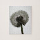 Suche nach löwenzahn puzzle Blume