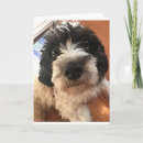 Suche nach al karten Liebe