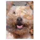 Recherche de oreille porte blocs Chien