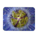 Recherche de passionné magnets Nature