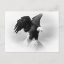 Suche nach steigen sie an postkarten Adler