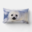 Recherche de phoque coussins Faune