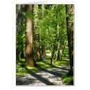 Suche nach japanischer garten postkarten Grün