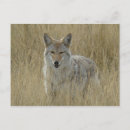 Suche nach gras postkarten Naturfotografie