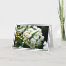 Suche nach fotografen karten Fotografie