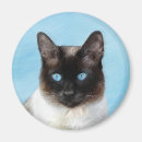 Recherche de chats siamois magnets Chaton