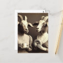 Suche nach goat postkarten Generativitätsinhalt