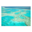 Suche nach australien australasien poster Tropisch