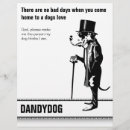 Suche nach mann flyer Dogge