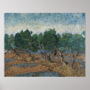 Suche nach olivenhain poster Vincent van gogh