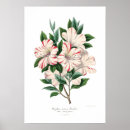 Suche nach indica poster Vintag