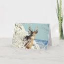 Suche nach weißer schwanz karten Hirsche