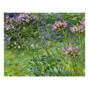 Recherche de monet giverny posters Claude