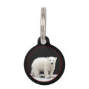 Recherche de ours animaux articles Pour tous