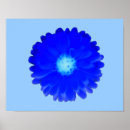 Suche nach ringelblumen poster Blumig