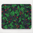 Recherche de arbustes tapis souris Plante