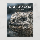 Suche nach galapagos postkarten Souvenir