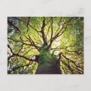 Suche nach irland landschaft karten Baum