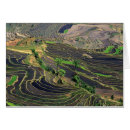 Recherche de yunnan cartes postales Pente