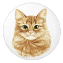 Recherche de gingembre boutons et poignées de porte Minou