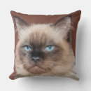Suche nach langes haar kissen Katze