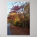 Recherche de bel arbre posters Arbres