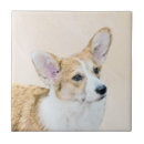 Recherche de welsh corgi carreaux Dog