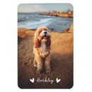 Recherche de stylish magnete Pour tous