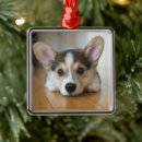 Suche nach corgi weihnachtsschmuck Welpe