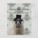 Recherche de agriculture invitations Mouton