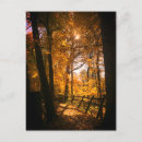 Recherche de naturel cartes postales Orange