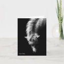 Suche nach auseinander karten Vermisst