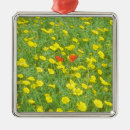 Suche nach mohnblumen ornamente Aquarell