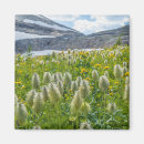 Recherche de fleurs de montagne magnets Prairie